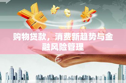彝良购物贷款，消费新趋势与金融风险管理