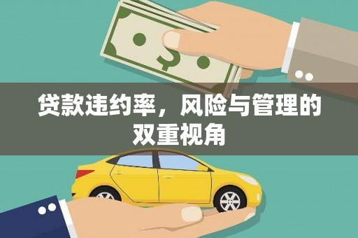 彝良贷款违约率，风险与管理的双重视角