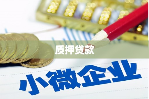 彝良质押贷款