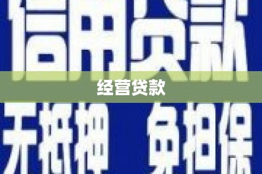 彝良经营贷款