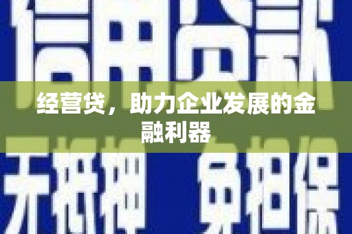 彝良经营贷，助力企业发展的金融利器