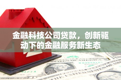 彝良金融科技公司贷款，创新驱动下的金融服务新生态