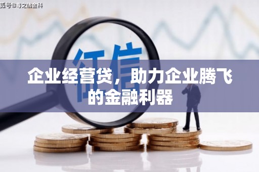 彝良企业经营贷，助力企业腾飞的金融利器