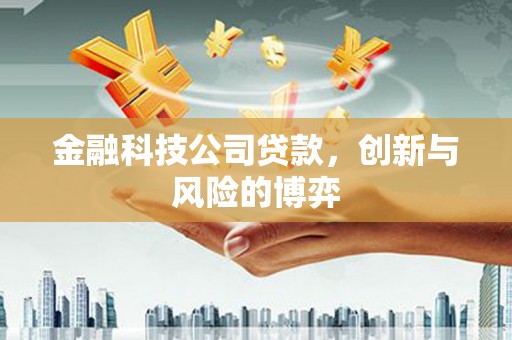 彝良金融科技公司贷款，创新与风险的博弈