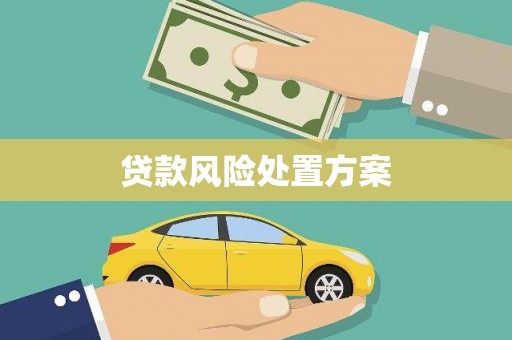 彝良贷款风险处置方案