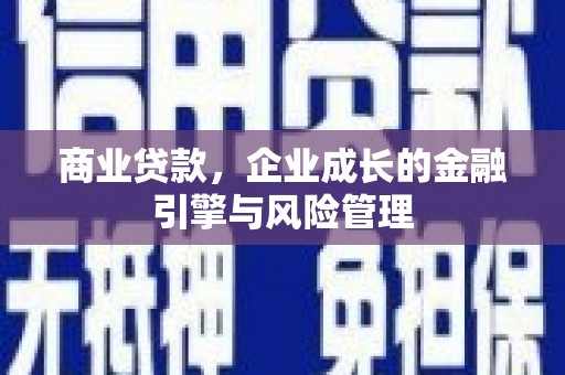 彝良商业贷款，企业成长的金融引擎与风险管理