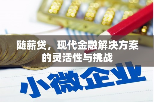 彝良随薪贷，现代金融解决方案的灵活性与挑战