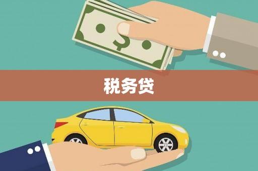 彝良税务贷
