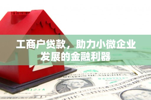 彝良工商户贷款，助力小微企业发展的金融利器