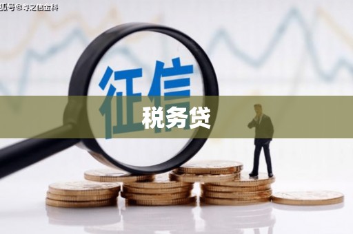 彝良税务贷