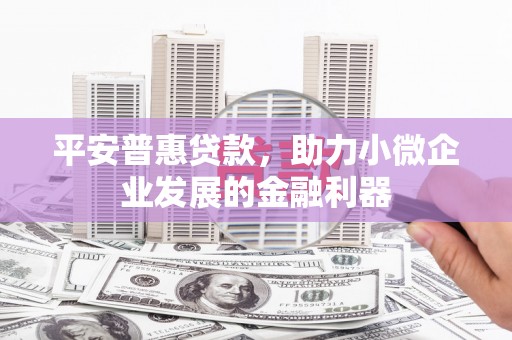 彝良平安普惠贷款，助力小微企业发展的金融利器
