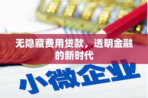 彝良无隐藏费用贷款，透明金融的新时代
