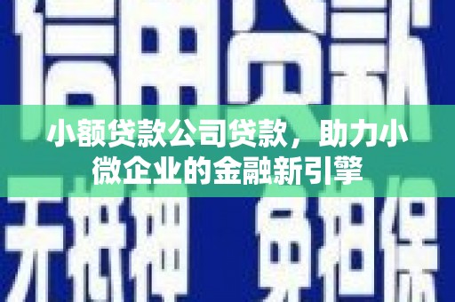 彝良小额贷款公司贷款，助力小微企业的金融新引擎