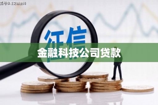 彝良金融科技公司贷款