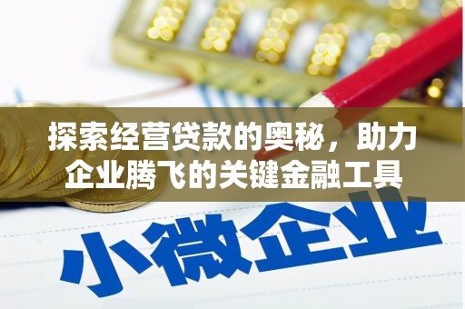 彝良探索经营贷款的奥秘，助力企业腾飞的关键金融工具