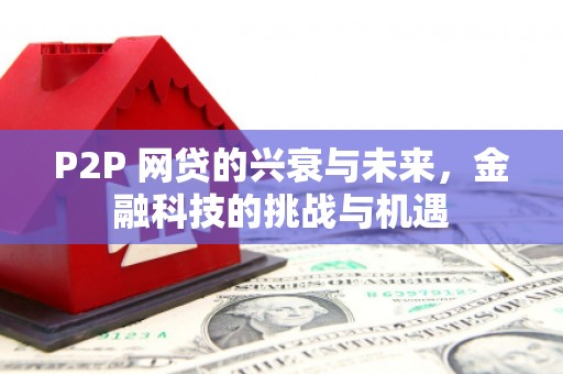 彝良P2P 网贷的兴衰与未来，金融科技的挑战与机遇