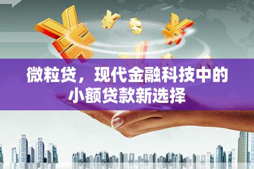 彝良微粒贷，现代金融科技中的小额贷款新选择