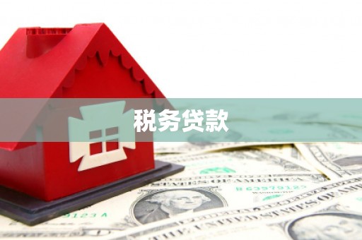 彝良税务贷款