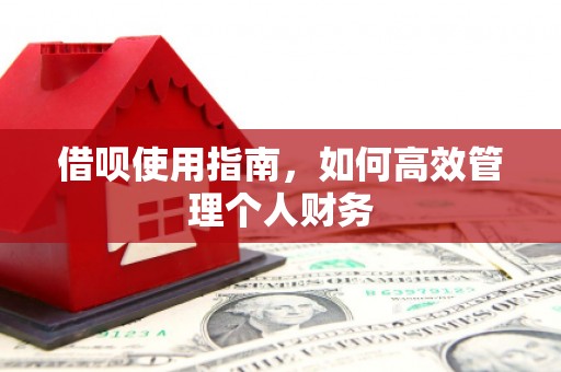 彝良借呗使用指南，如何高效管理个人财务