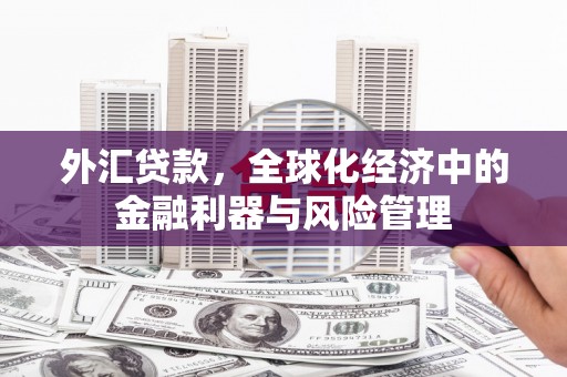 彝良外汇贷款，全球化经济中的金融利器与风险管理