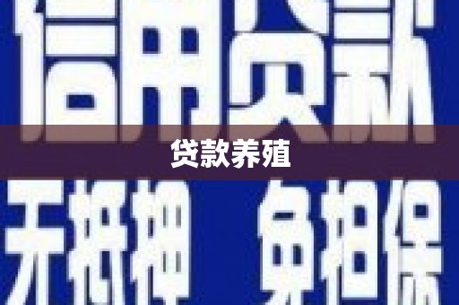 彝良贷款养殖