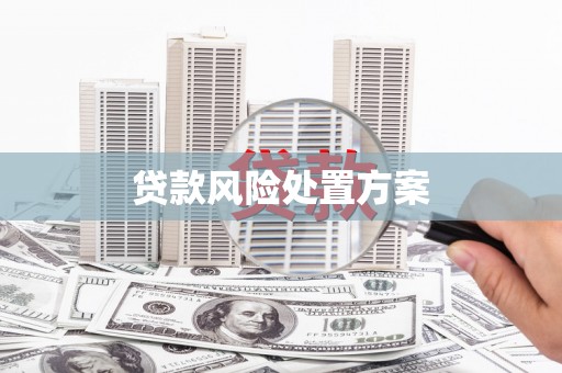 彝良贷款风险处置方案
