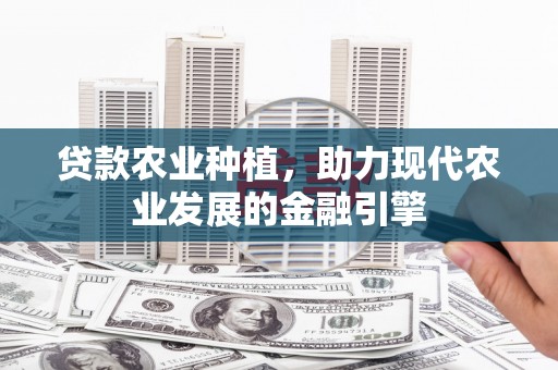 彝良贷款农业种植，助力现代农业发展的金融引擎