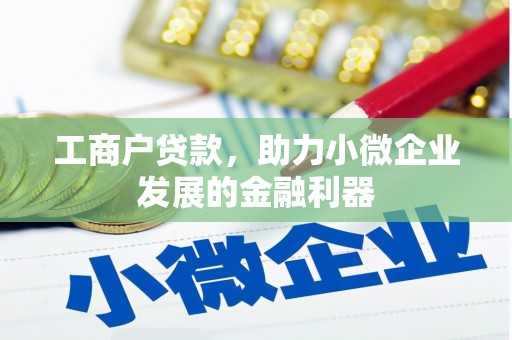 彝良工商户贷款，助力小微企业发展的金融利器