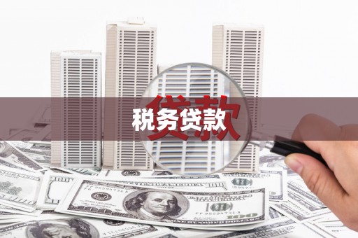 彝良税务贷款