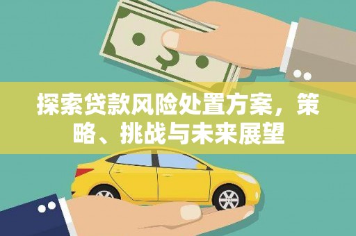 彝良探索贷款风险处置方案，策略、挑战与未来展望