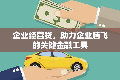 彝良企业经营贷，助力企业腾飞的关键金融工具