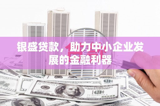 彝良银盛贷款，助力中小企业发展的金融利器