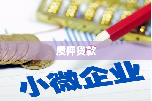 彝良质押贷款