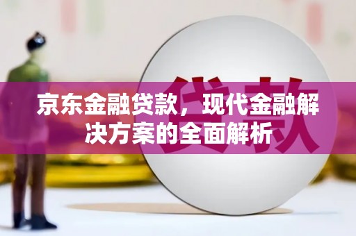 彝良京东金融贷款，现代金融解决方案的全面解析