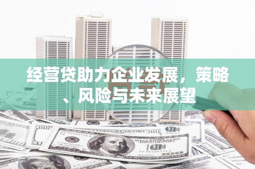 彝良经营贷助力企业发展，策略、风险与未来展望