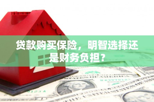 彝良贷款购买保险，明智选择还是财务负担？