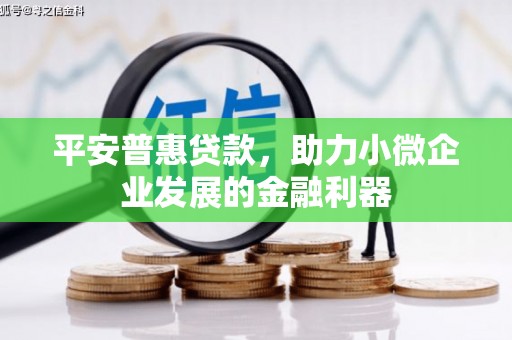 彝良平安普惠贷款，助力小微企业发展的金融利器