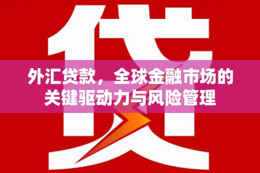 彝良外汇贷款，全球金融市场的关键驱动力与风险管理