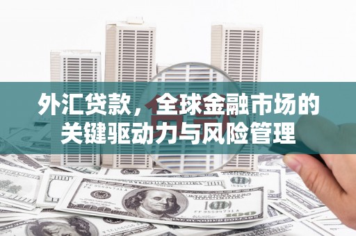 彝良外汇贷款，全球金融市场的关键驱动力与风险管理