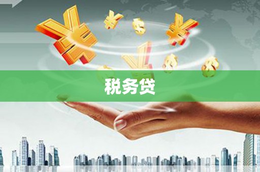 彝良税务贷