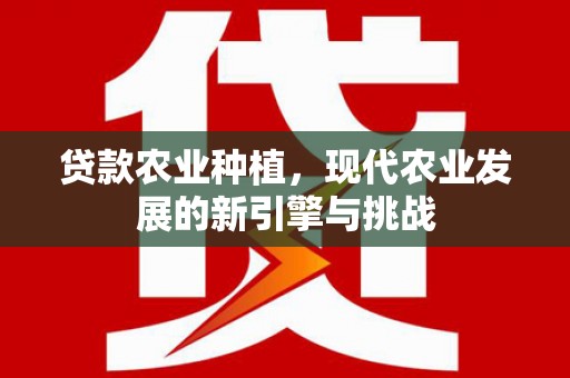 彝良贷款农业种植，现代农业发展的新引擎与挑战
