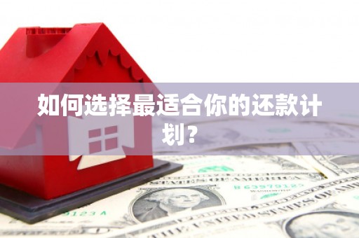 彝良如何选择最适合你的还款计划？