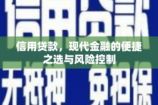 彝良信用贷款，现代金融的便捷之选与风险控制