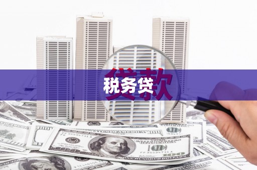 彝良税务贷