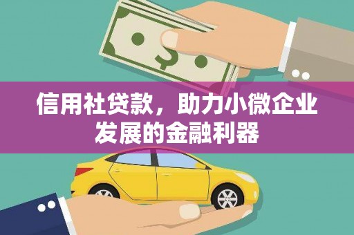 彝良信用社贷款，助力小微企业发展的金融利器