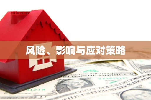 彝良风险、影响与应对策略