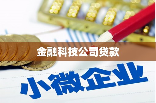 彝良金融科技公司贷款