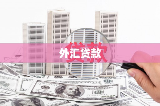 彝良外汇贷款
