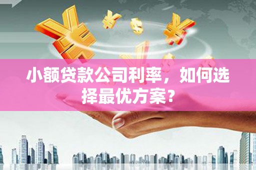 彝良小额贷款公司利率，如何选择最优方案？