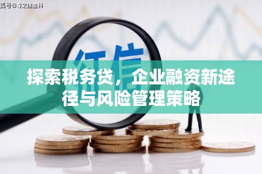 彝良探索税务贷，企业融资新途径与风险管理策略